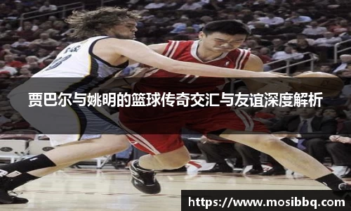 米乐yy体育