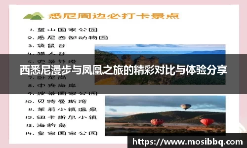 yy易游