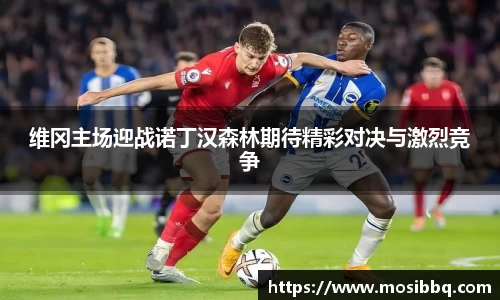 yy易游