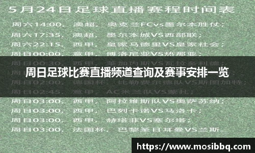 yy易游