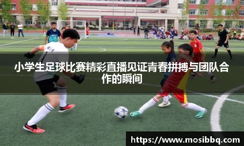 易游体育